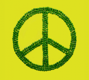 Kitle İmha Kanunu Karşısında Barış Örgütleri Ne Düşünüyor?