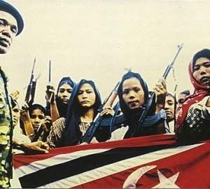 Indonesia_GAM_Preview