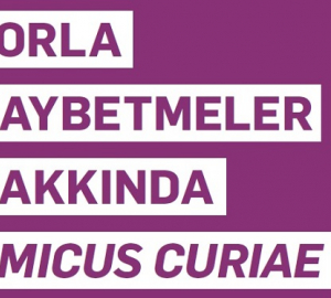 Zorla-Kaybetmeler-Hakkında-Amicus-Curiae