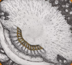 Dargeçit JİTEM Davası İzleme Raporu - 13 Mart 2017