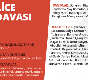 Lice Davası İzleme Raporu - 12 Ekim 2017